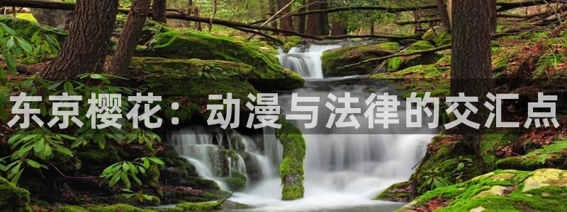 age漫画网：东京樱花：动漫与法律的交汇点