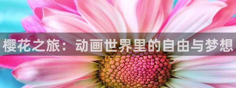 韩国漫画平台kakaopage：樱花之旅：动画世界里的自由与梦想