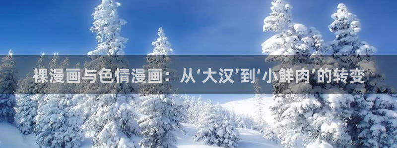 喵趣漫画官网网址：裸漫画与色情漫画：从‘大汉’到‘小鲜肉’的转变