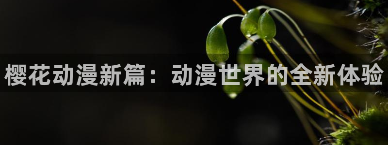 下载喵趣漫画：樱花动漫新篇：动漫世界的全新体验